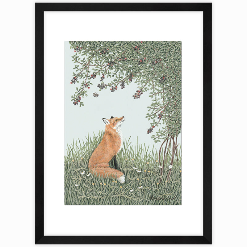 Foraging Fox Giclee Print