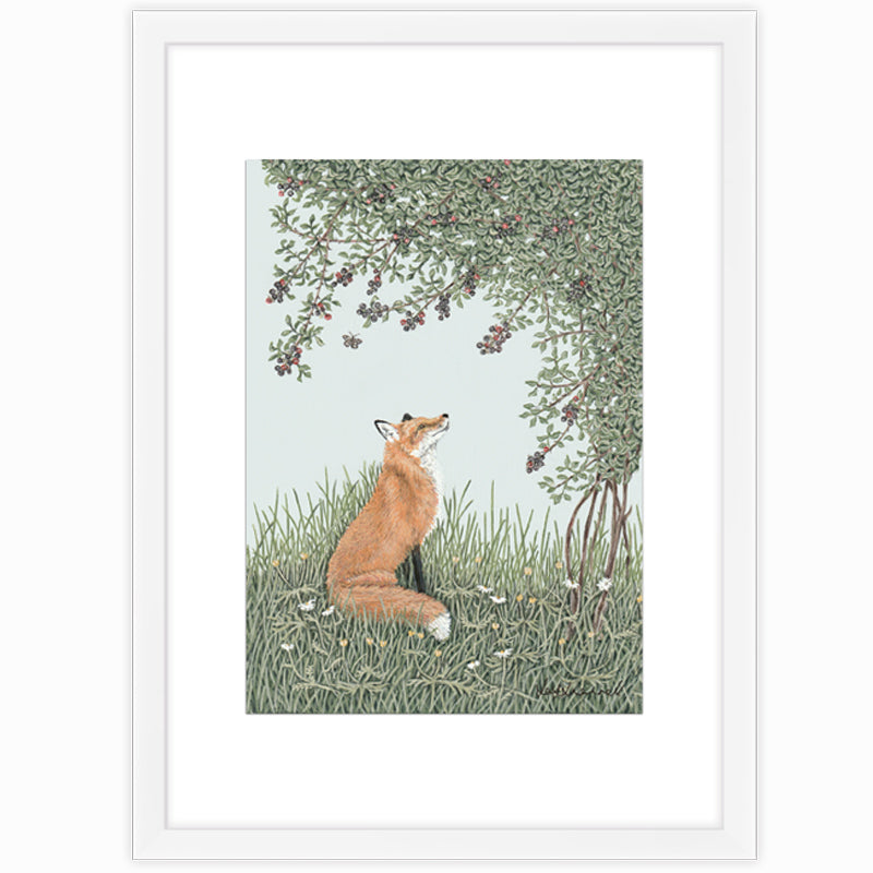 Foraging Fox Giclee Print