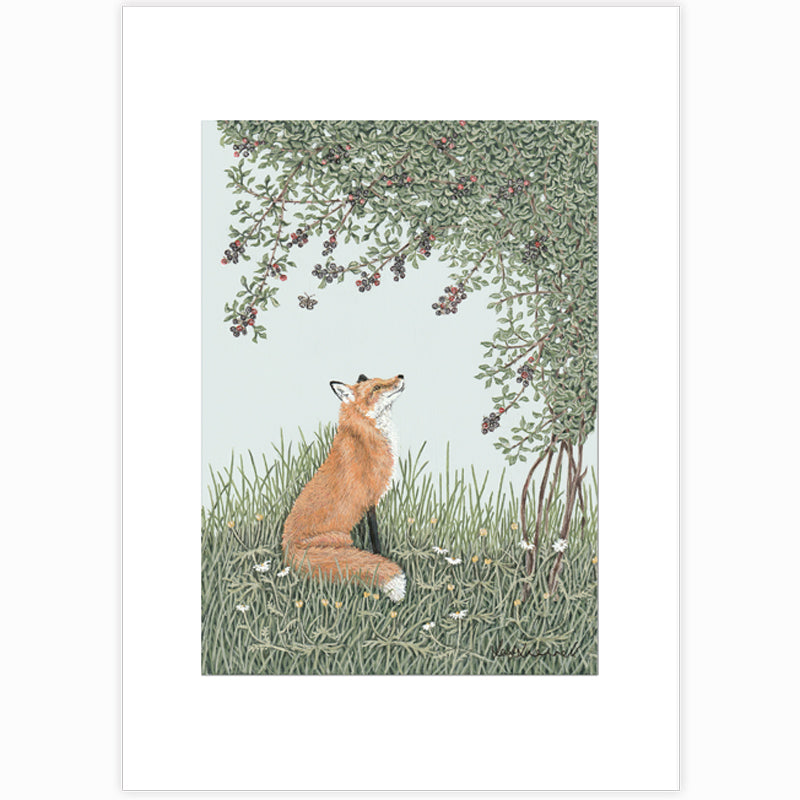 A giclee print featuring a handsome sitting fox eyeing up blackberries hanging from a bush. The fox is sat in long grass amongst wildflowers. There is a speckled wood butterfly in the background.