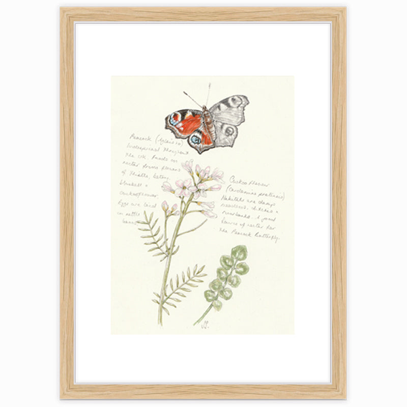 Peacock & Cuckoo Flower Giclee Print