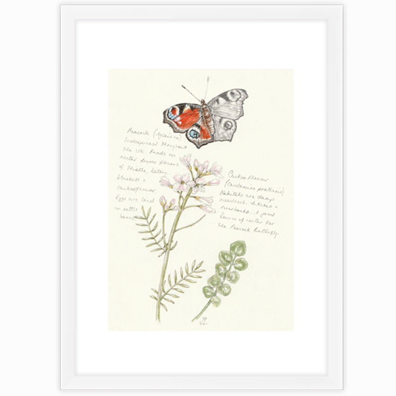 Peacock & Cuckoo Flower Giclee Print
