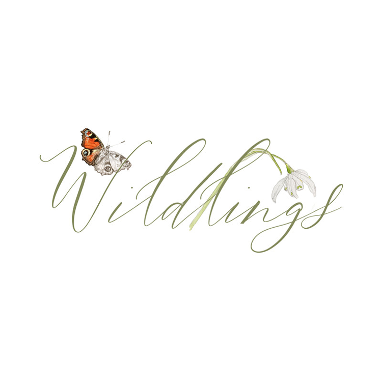 A logo for the Wildlings brand, green lettering, and a hand sketched Peacock butterfly and snowdrop