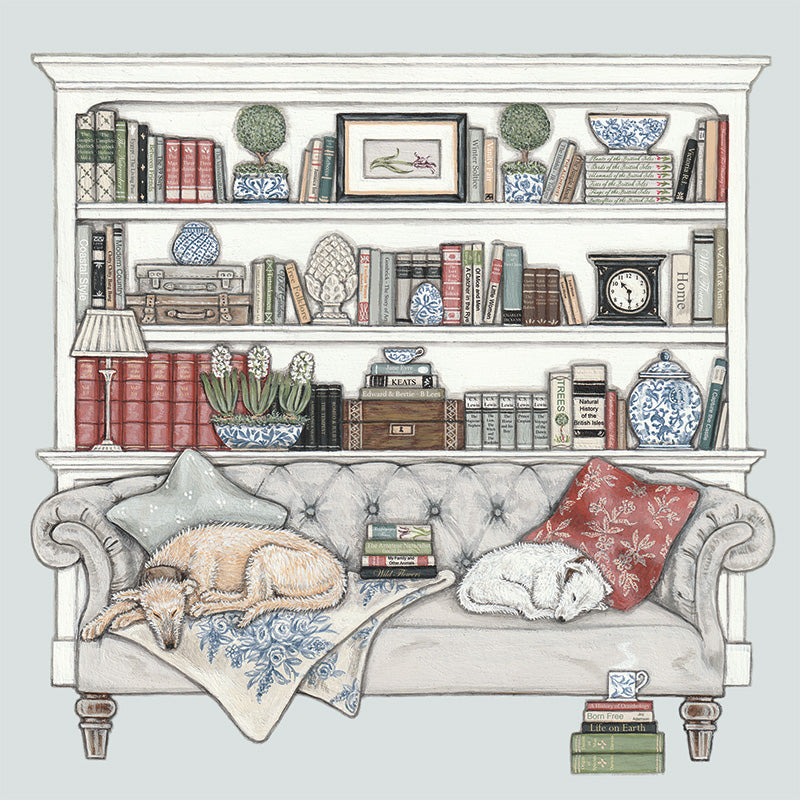 2 dogs asleep on a sofa in front of a bookcase filled with old books and ornaments.