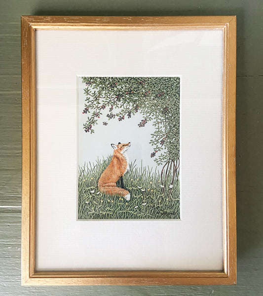 A fox sat in grass amongst wildflowers under a blackberry bush looking up at the fruit, a speckled wood butterfly behind.