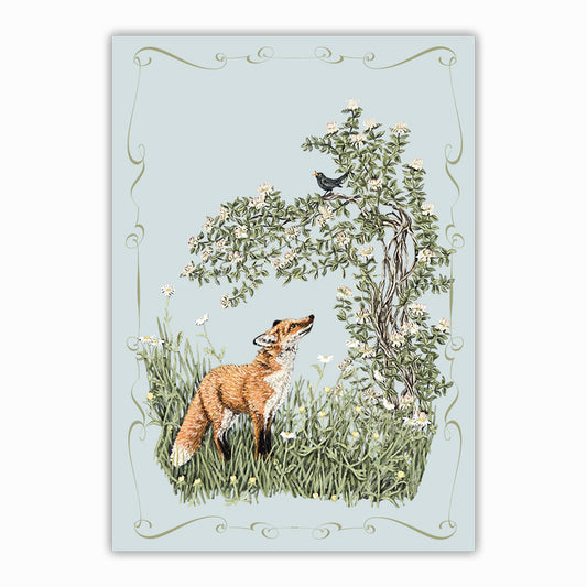 A fox standing in long grass and wild flowers looking up at a blackbird in a honeysuckle bush. Pretty design around the edge.