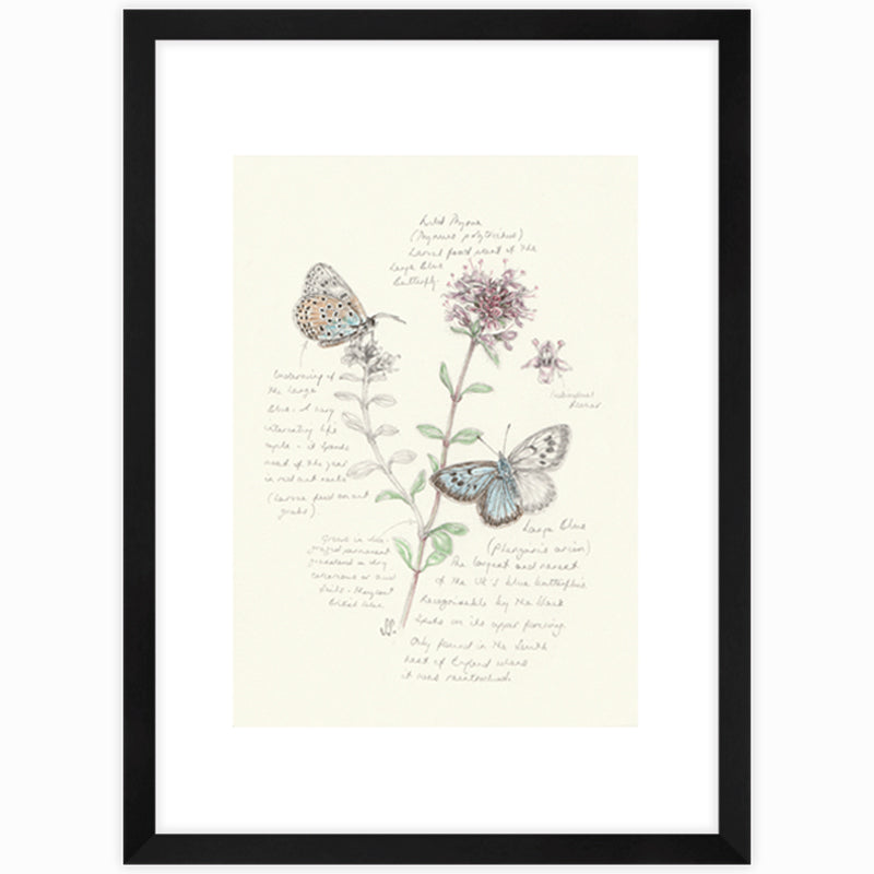 Large Blue & Wild Thyme Giclee Print