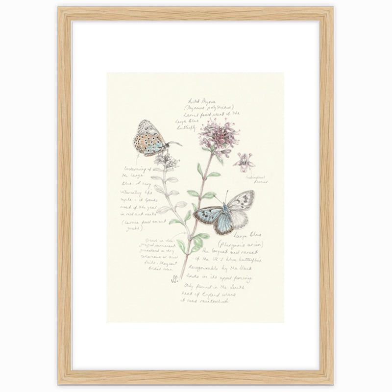 Large Blue & Wild Thyme Giclee Print