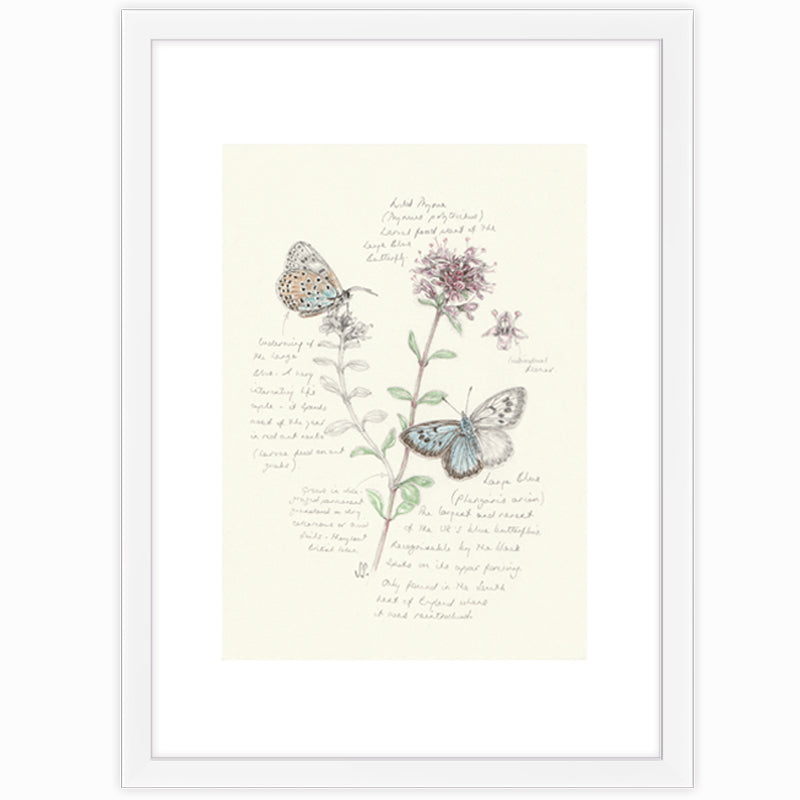Large Blue & Wild Thyme Giclee Print