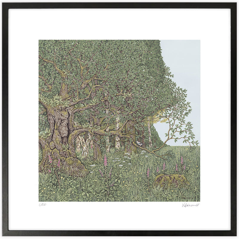 A framed, detailed painting by Sally Swannell of an ancient oak tree on the edge of woodland, surrounded by flowers, a Jay is perched on a lower branch of the oak.