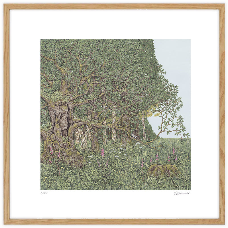 A framed, detailed painting by Sally Swannell of an ancient oak tree on the edge of woodland, surrounded by flowers, a Jay is perched on a lower branch of the oak.