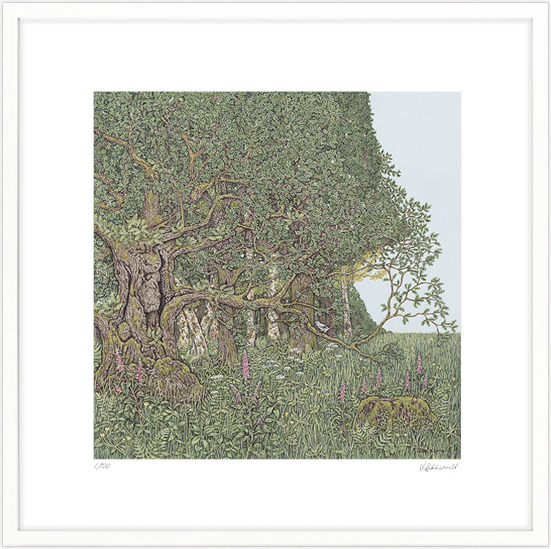 A framed, detailed painting by Sally Swannell of an ancient oak tree on the edge of woodland, surrounded by flowers, a Jay is perched on a lower branch of the oak.