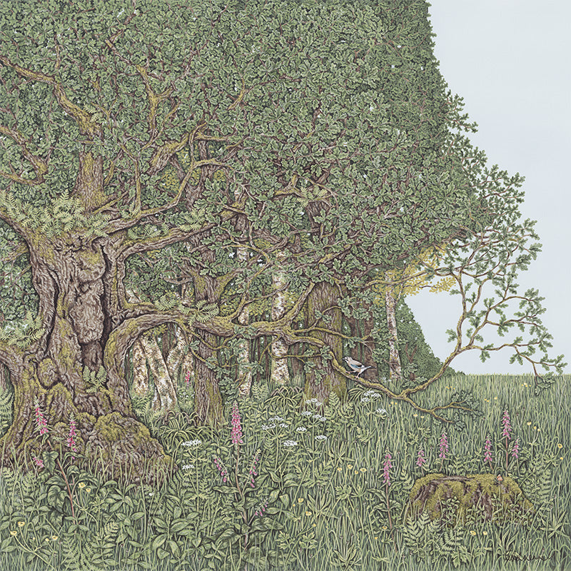 A detailed painting by Sally Swannell of an ancient oak tree on the edge of woodland, surrounded by flowers, a Jay is perched on a lower branch of the oak.