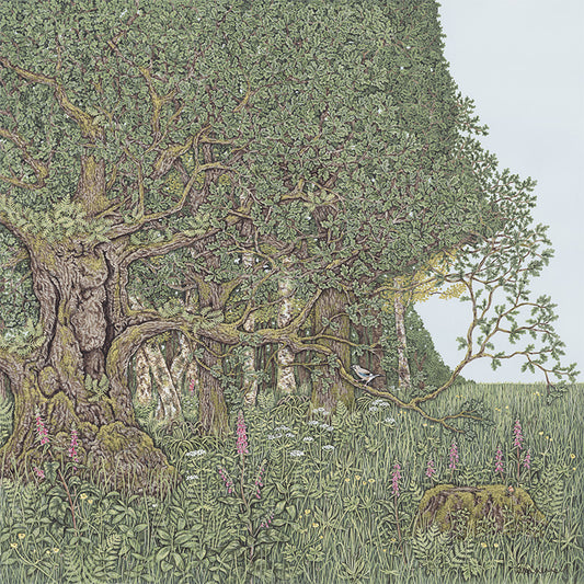 A detailed painting by Sally Swannell of an ancient oak tree on the edge of woodland, surrounded by flowers, a Jay is perched on a lower branch of the oak.