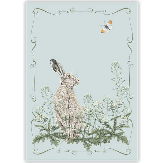 A detailed illustration of a brown hare sat amongst shepherd's purse and greater stitchwort, and an orange tip butterfly flying over.