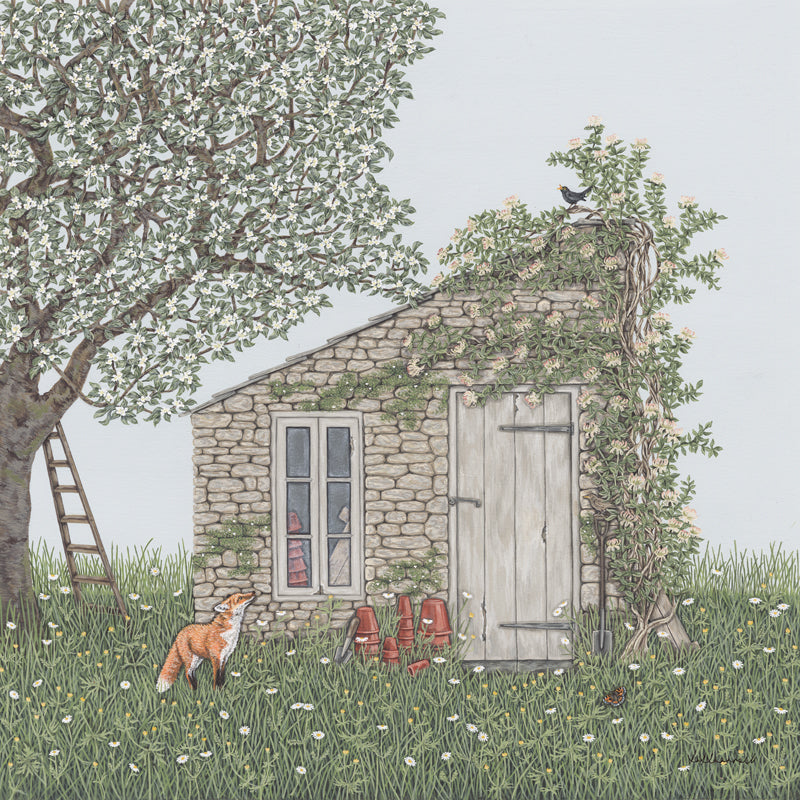 An old stone potting shed in long grass and wild flowers, covered in honeysuckle, standing next to an apple tree. There are terracotta flower pots and a garden spade leaning up against it. There is a fox in the foreground looking up at a singing blackbird. 